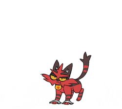 Rule 34 | animated, animated gif, cat, colored sclera, creatures (company), evolution, furry, furry male, game freak, gen 7 pokemon, handstand, incineroar, lowres, nintendo, pokemon, pokemon (creature), pokemon sm, solo, sweat, tail, tape, torracat, upside-down, yellow sclera