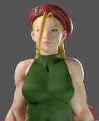 Rule 34 | 10s, 1girl, 3d, ahoge, animated, armor, arms at sides, beret, blonde hair, blowing, braid, breasts, cammy white, capcom, female focus, gauntlets, green eyes, green leotard, grey background, hat, large breasts, leotard, long hair, looking at viewer, multiple braids, muscular, muscular female, red beret, redmoa, resized, simple background, solo, source filmmaker (medium), standing, standing at attention, street fighter, street fighter v, third-party edit, toned, twin braids, upper body, upscaled, very long hair, video