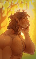 Rule 34 | 1boy, absurdres, animal, animal on head, autumn leaves, backlighting, baldur&#039;s gate, baldur&#039;s gate 3, bara, bird, bird on head, brown hair, dark-skinned male, dark skin, dungeons &amp; dragons, elf, from side, hairy, halsin, highres, large pectorals, male focus, mature male, medium hair, muscular, muscular male, nipples, nude, on head, pectorals, pointy ears, profile, solo, sunlight, sweet cassius, thick arm hair, thick chest hair, thick eyebrows, upper body, waking up