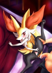 Rule 34 | 1boy, 1girl, absurdres, aftersex, animal ear fluff, animal ears, animal hands, animal nose, animal pussy, artist name, black fur, blush, body fur, braixen, canine pussy, claws, clitoris, creatures (company), cum, cum in pussy, cum string, cumdrip, dated, drooling, eryz, fangs, flaccid, flat chest, fox ears, fox girl, fox tail, from above, furry, game freak, gen 6 pokemon, happy, hetero, highres, indoors, interspecies, jpeg artifacts, leg up, lying, nintendo, nose blush, on back, on bed, open fly, open mouth, pawpads, penis, pokemon, pokemon (creature), pokephilia, pussy, pussy juice, red eyes, saliva, signature, smile, snout, solo focus, sparkle, spread legs, spread pussy, tail, testicles, tongue, tongue out, uncensored, unzipped, urethra, white fur, yellow fur, zipper