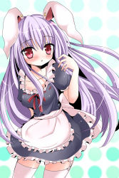 Rule 34 | 1girl, :&lt;, alternate costume, animal ears, apron, arm up, blue dress, blush, breasts, collarbone, dress, enmaided, female focus, garter straps, highres, long hair, maid, maid apron, ncatabc, polka dot, polka dot background, purple hair, rabbit ears, red eyes, reisen udongein inaba, solo, thighhighs, touhou, waist apron, white thighhighs