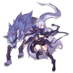 Rule 34 | 1girl, animal ears, arknights, black footwear, black gloves, black pants, boots, bow (weapon), braid, breasts, buckle, chaps, cloak, crossbow, cyborg, elite ii (arknights), finger on trigger, floating hair, full body, gloves, hair over shoulder, holding, holding crossbow, holding weapon, hood, hood down, hooded cloak, knee boots, knee pads, long hair, looking at viewer, multicolored clothes, multicolored gloves, nian (zhanian), official art, open mouth, pants, provence (arknights), puffy sleeves, purple cloak, purple hair, purple shirt, shirt, sidelocks, single braid, small breasts, snap-fit buckle, solo, tachi-e, tail, thigh strap, weapon, wolf, wolf ears, wolf tail, yellow eyes