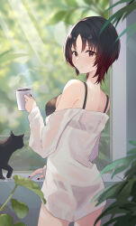 Rule 34 | 1girl, absurdres, bare shoulders, black bra, black cat, black hair, black nails, black panties, bra, breasts, cat, coffee, coffee mug, cup, dress shirt, from behind, gradient hair, highres, holding, holding cup, kisaragi ren (vtuber), light rays, long sleeves, looking at viewer, looking back, medium breasts, mug, multicolored hair, off shoulder, open clothes, open shirt, panties, plant, red eyes, red hair, see-through, shirt, short hair, smoke, srymurr, underwear, virtual youtuber, vspo!, white shirt, window