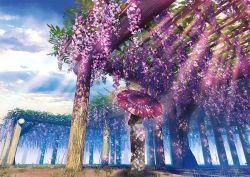 1girl cloud cloudy_sky commentary_request dappled_sunlight day flower grass hachio81 highres holding japanese_clothes kimono original pillar plant scenery shade sky solo sunlight tree umbrella wisteria