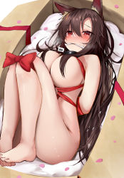 Rule 34 | 1girl, animal ears, arms behind back, barcode, bdsm, blush, bondage, bound, box, breasts, brown hair, efe, gag, gagged, hair between eyes, hair censor, hair over breasts, highres, imaizumi kagerou, in box, in container, large breasts, long hair, red eyes, revision, solo, tears, touhou, wolf ears