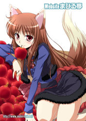 Rule 34 | 00s, animal ears, apple, brown hair, food, fruit, holo, izumi mahiru, long hair, mouth hold, red eyes, solo, spice and wolf, tail, wolf ears, wolf tail