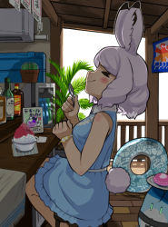 Rule 34 | &gt; &lt;, 1girl, adapted costume, air conditioner, animal ears, arctic hare (kemono friends), bare shoulders, beach house, black hair, blue dress, blush, bottle, bracelet, brain freeze, cactus, closed eyes, clothing cutout, collared dress, commentary request, dress, eating, food, frilled dress, frills, highres, holding, holding spoon, innertube, japari bun, jewelry, kemono friends, lucky beast (kemono friends), multicolored hair, plant, potted plant, rabbit ears, rabbit girl, rabbit tail, rinx, shaved ice, short hair, sitting, sleeveless, sleeveless dress, smile, solo, spoon, swim ring, tail, tail through clothes, white hair