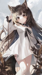 Rule 34 | 1girl, absurdres, animal ear fluff, animal ears, animal ears (norankkori), bell, black choker, braid, brown eyes, brown hair, character request, choker, cloud, cloudy sky, copyright request, day, dress, grimlight, highres, jingle bell, long hair, long sleeves, looking at viewer, outdoors, parted lips, puffy long sleeves, puffy sleeves, side braid, single braid, sky, solo, tail, very long hair, white dress