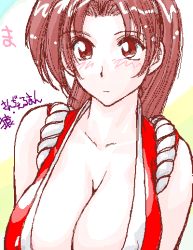 Rule 34 | 1girl, blush, breasts, brown eyes, brown hair, cleavage, fatal fury, huge breasts, long hair, oekaki, rope, shiranui mai, snk, solo, the king of fighters