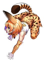 Rule 34 | 10s, 1girl, absurdres, animal ears, bow, bowtie, elbow gloves, gloves, high-waist skirt, highres, kemono friends, muscular, orange hair, serval (kemono friends), serval print, serval tail, shirt, simple background, skirt, sleeveless, sleeveless shirt, solo, striped tail, tail, turiganesou800, yellow eyes