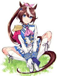 Rule 34 | 1girl, animal ears, ascot, asymmetrical gloves, blue eyes, blue gloves, boots, brown hair, butterfly sitting, buttons, closed mouth, commentary request, double-breasted, epaulettes, full body, gloves, grass, highres, horse ears, horse girl, horse tail, jacket, long hair, long sleeves, looking at viewer, mismatched gloves, multicolored hair, nonaka nono, pink ascot, ponytail, single epaulette, sitting, skirt, solo, streaked hair, tail, tokai teio (umamusume), umamusume, white footwear, white gloves