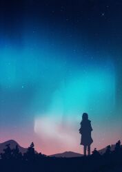 Rule 34 | 1other, aurora, axleaki, commentary, from behind, highres, mountainous horizon, night, night sky, original, outdoors, scenery, silhouette, sky, sky focus, solo, sparkle, standing, star (sky), starry sky