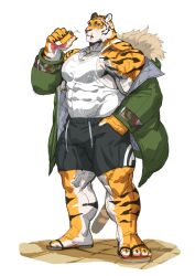 Rule 34 | 1boy, abs, absurdres, animal ears, bara, black shorts, bulge, camouflage, closed mouth, coach ho (traver009), coat, drink, flip-flops, fur-trimmed hood, fur trim, furry, furry male, green coat, hand in pocket, highres, holding, holding drink, hood, korean commentary, large pectorals, looking at viewer, male focus, muscular, muscular male, open clothes, open coat, original, pectorals, sandals, shorts, simple background, solo, standing, tail, tank top, taut clothes, thick arms, three quarter view, tiger boy, tiger ears, tiger stripes, tiger tail, traver009, veins, veiny arms, veiny calf, veiny thighs, white background, white tank top
