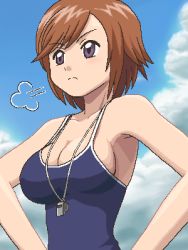 Rule 34 | 00s, 1girl, awa, breasts, brown hair, cleavage, grey eyes, hands on own hips, houin kyouko, jaggy lines, kodomo no jikan, large breasts, lowres, oekaki, one-piece swimsuit, school swimsuit, short hair, sideboob, sign, solo, swimsuit, undersized clothes, whistle