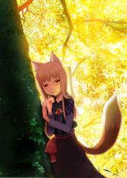 Rule 34 | 00s, 1girl, animal ears, brown hair, female focus, forest, highres, holo, long hair, m-hit, nature, red eyes, solo, spice and wolf, tail, tree, wolf ears, wolf tail