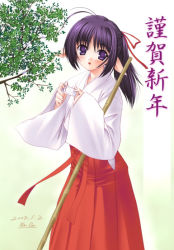 Rule 34 | 1girl, hakama, hakama skirt, japanese clothes, miko, na-ga, pointy ears, purple eyes, purple hair, red hakama, skirt, solo