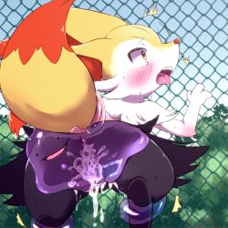 Rule 34 | 1boy, 1girl, against wall, animal ears, anus, arm up, blush, braixen, clitoris, cum, cum in pussy, cumdrip, ditto, drooling, ejaculation, fangs, fence, fox ears, fox tail, from behind, furry, gen 6 pokemon, hetero, kemoribon, leg lift, nature, no humans, open mouth, outdoors, plant, pokemon, pokemon (creature), pussy, red eyes, saliva, sex, sky, slime, spread legs, sweat, tail, tears, teeth, tongue, tongue out, uncensored, vaginal