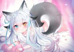 Rule 34 | 1girl, :3, animal ear fluff, animal ears, aqua eyes, aqua hair, bad id, bad pixiv id, black tail, dog ears, dog girl, dog tail, erufwa, fang, fang out, heterochromia, highres, indie virtual youtuber, long hair, looking at viewer, lying, multicolored hair, naked shirt, off shoulder, on bed, on stomach, shiroi kuon, shirt, tail, virtual youtuber, white hair, yellow eyes