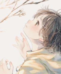 Rule 34 | 1girl, blush, bob cut, brown hair, cherry blossoms, flower, highres, looking up, orie h, original, parted lips, portrait, profile, solo