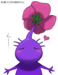 Rule 34 | blush, closed eyes, colored skin, commentary request, flower, heart, naru (wish field), nintendo, no humans, no mouth, outstretched arms, pikmin (creature), pikmin (series), pink flower, purple hair, purple pikmin, purple skin, short hair, simple background, solo, translation request, upper body, very short hair, white background