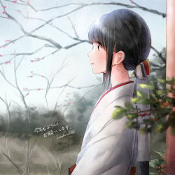 Rule 34 | 1girl, artist name, bare tree, black hair, blurry, blurry foreground, blush, brown eyes, commentary request, day, depth of field, from side, hair ornament, highres, japanese clothes, kazuharu kina, kimono, light smile, long hair, looking away, low ponytail, miko, original, outdoors, parted lips, profile, sidelocks, solo, translation request, tree, upper body, white kimono, winter