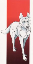 Rule 34 | animal hands, asukari (fang), claws, dog, fang, scar, tail, wolf