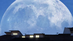 Rule 34 | commentary, english commentary, full moon, highres, house, making-of available, mclelun, moon, original, photoshop (medium), satellite dish, scenery, signature, window