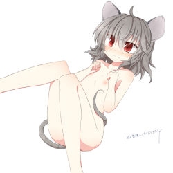 Rule 34 | 1girl, animal ears, bad id, bad pixiv id, blush, embarrassed, female focus, flat chest, fuuen (akagaminanoka), grey hair, mouse ears, mouse tail, nazrin, nipples, nude, red eyes, short hair, simple background, solo, tail, touhou, white background