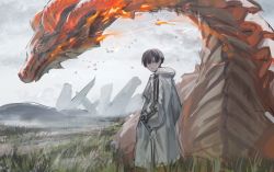 Rule 34 | 1boy, bird, brown eyes, brown hair, cloud, cloudy sky, dragon, eyelashes, fire, fire, grass, grey sky, hair between eyes, half-closed eyes, hands in pockets, highres, human homeosta, immortal silent, looking back, outdoors, parted lips, pillar, red eyes, silhouette, sketch, sky, slit pupils, standing