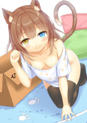 Rule 34 | 1girl, all fours, animal ears, black thighhighs, blunt bangs, bottomless, box, breasts, brown hair, cardboard box, cat ears, cat tail, collarbone, cushion, dutch angle, heterochromia, long hair, looking at viewer, original, paw pose, paw print, rug, setona (daice), shirt, small breasts, smile, solo, t-shirt, tail, thighhighs, white background