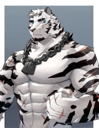 Rule 34 | 1boy, abs, animal ears, arknights, bara, chain, chain necklace, completely nude, fluffy, furry, furry male, highres, jewelry, kenjilo (kenjilokung), large pectorals, looking at viewer, male focus, mountain (arknights), muscular, muscular male, navel, navel hair, necklace, nipples, no nipples, nude, pectorals, scar, scar across eye, scar on arm, scar on face, scar on stomach, short hair, solo, stomach, tiger boy, tiger ears, upper body, white fur, white hair