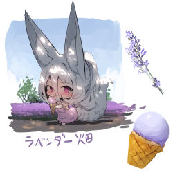 1girl absurdres animal_ear_fluff animal_ears bare_arms bare_shoulders blue_sky chibi cloud day dress flower food fox_ears fox_girl fox_tail grey_hair hair_between_eyes highres holding holding_food ice_cream ice_cream_cone licking long_hair original pink_dress ponytail purple_eyes purple_flower sky sleeveless sleeveless_dress solo standing tail tongue tongue_out translated very_long_hair white_background yuuji_(yukimimi)