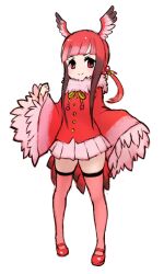 Rule 34 | 1girl, bird girl, bird tail, bird wings, blunt bangs, bow, bowtie, brown hair, frilled sleeves, frills, fur collar, hair bobbles, hair ornament, head wings, ise (0425), kemono friends, long sleeves, looking at viewer, mary janes, multicolored hair, pink fur, pink skirt, pleated skirt, red eyes, red footwear, red hair, red shirt, red thighhighs, scarlet ibis (kemono friends), shirt, shoes, short twintails, sidelocks, skirt, solo, tail, thighhighs, twintails, wings, yellow bow, yellow bowtie, zettai ryouiki