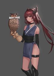 Rule 34 | 1girl, absurdres, bird, black sash, blue kimono, blush, breasts, brown eyes, brown gloves, brown hair, closed mouth, commentary, detached sleeves, english commentary, falconry, gloves, grey background, highres, horns, japanese clothes, kimono, kneehighs, long hair, long sleeves, obi, original, owl, rktlek159, sash, simple background, single glove, single horn, small breasts, smile, socks, solo, tinted eyewear, twintails