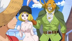 Rule 34 | carrot (one piece), furry, furry female, highres, monkey d. luffy, one piece, pedro (one piece), tagme, white fur