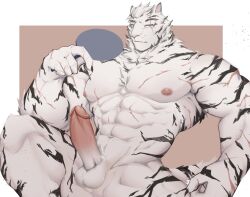 Rule 34 | 1boy, abs, animal ears, arknights, artist request, bara, completely nude, erection, facial hair, feet out of frame, furry, furry male, goatee, highres, large hands, large pectorals, looking at viewer, male focus, mountain (arknights), muscular, muscular male, navel, nipples, nude, one eye closed, pectorals, penis, pointing, pointing at penis, pointing at self, scar, scar across eye, scar on arm, short hair, solo, stomach, thick eyebrows, tiger boy, tiger ears, uncensored, veins, veiny penis, white hair