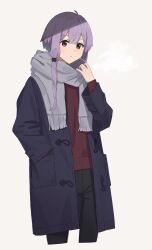 Rule 34 | 1girl, ahoge, black pants, blue coat, breath, closed mouth, coat, cropped legs, grey background, grey scarf, hand in pocket, hand up, highres, long hair, long sleeves, looking at viewer, low-tied sidelocks, minatsuki (m1natsuk1), pants, purple eyes, purple hair, red shirt, scarf, shade, shirt, sidelocks, simple background, solo, standing, vocaloid, voiceroid, yuzuki yukari