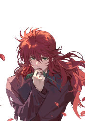 Rule 34 | 1boy, black shirt, chinese commentary, commentary request, flower, green eyes, hand up, highres, holding, holding flower, kurama (yu yu hakusho), long hair, long sleeves, looking at viewer, male focus, mouth hold, petals, red hair, rose, rose petals, shirt, simple background, solo, upper body, white background, xiandao1213, yuu yuu hakusho