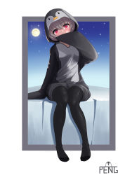 Rule 34 | 1girl, absurdres, animal costume, animal hood, artist name, bad id, bad pixiv id, black pajamas, black pantyhose, commentary, covering own mouth, full body, full moon, grey hair, hand over own mouth, hand up, highres, hood, hood up, looking at viewer, moon, night, night sky, no shoes, original, outside border, pajamas, pantyhose, peng kun, penguin costume, penguin hood, red eyes, sitting, sky, solo, star (sky), tareme, white background
