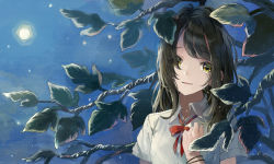 Rule 34 | 1girl, blue sky, branch, brown hair, collared shirt, commentary request, crying, dress shirt, eyes visible through hair, full moon, hair over one eye, hand up, head tilt, highres, leaf, light smile, long hair, looking at viewer, loose neckwear, moon, neck ribbon, night, original, outdoors, parted lips, red ribbon, ribbon, shi-ro, shirt, short sleeves, sky, solo, sparkle, star (sky), starry sky, streaming tears, tears, texture, upper body, white shirt, wristband, yellow eyes