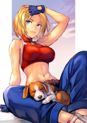 Rule 34 | 1girl, animal, arm support, arm up, bare shoulders, belt, blonde hair, blue eyes, blue mary, blue pants, bracelet, breasts, closed mouth, cloud, commentary request, dog, fatal fury, fingerless gloves, fingernails, gloves, gradient sky, hinoru saikusa, jewelry, lips, medium breasts, midriff, navel, necklace, pants, red tank top, short hair, simple background, sitting, sky, sleeping, sleeveless, smile, stomach, tank top, the king of fighters, turtleneck