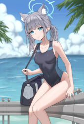 Rule 34 | absurdres, animal ear fluff, animal ears, bag, black one-piece swimsuit, blue archive, blue eyes, blue sky, breasts, cloud, commentary, competition swimsuit, covered navel, cross hair ornament, day, extra ears, feet out of frame, grey hair, hair ornament, halo, highres, horizon, low ponytail, medium breasts, medium hair, mismatched pupils, multicolored clothes, multicolored swimsuit, ocean, official alternate costume, one-piece swimsuit, outdoors, palm tree, railing, shiroko (blue archive), shiroko (swimsuit) (blue archive), sitting, sky, swimsuit, the fg, tree, wolf ears