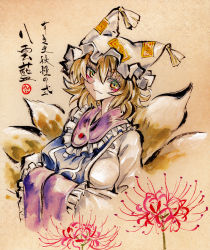 Rule 34 | 1girl, animal ears, blonde hair, blush, breasts, collared dress, dress, flower, fox ears, fox tail, hands in opposite sleeves, hat, highres, kabaji, large breasts, long sleeves, looking at viewer, multiple tails, orange eyes, short hair, simple background, solo, spider lily, tabard, tail, touhou, traditional media, upper body, white dress, white sleeves, yakumo ran