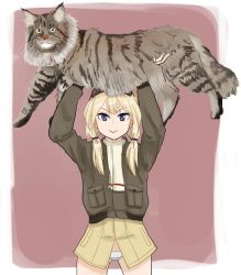 Rule 34 | 1girl, blonde hair, carla j. luksic, cat, nigatsu (fevrali), no pants, scarf, strike witches, twintails, world witches series