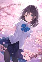 Rule 34 | 1girl, black pantyhose, blue bow, bow, branch, breasts, brown hair, cherry blossoms, closed mouth, clothes lift, commentary request, day, falling petals, flower, highres, jc (user ctgd2855), looking at viewer, original, outdoors, pantyhose, petals, pink flower, pleated skirt, school uniform, shirt, short hair, skirt, skirt lift, small breasts, solo, spring (season), standing, tree, uniform, wind, wind lift
