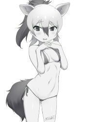 Rule 34 | 1girl, aardwolf (kemono friends), absurdres, animal ears, bikini, breasts, commentary request, extra ears, greyscale, hair between eyes, hands up, high ponytail, highres, kemono friends, long hair, looking at viewer, masuyama ryou, micro bikini, monochrome, multicolored hair, navel, nervous smile, own hands together, side-tie bikini bottom, small breasts, smile, solo, stomach, swimsuit, tail