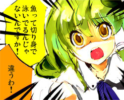 Rule 34 | 1girl, brown eyes, cis (carcharias), collarbone, emphasis lines, female focus, green hair, kochiya sanae, long hair, looking at viewer, shaded face, solo, surprised, touhou, translation request, upper body, wide-eyed