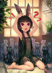 Rule 34 | !, !?, 1girl, ?, ^^^, animal ears, arms up, barefoot, black cat, black hair, book, calendar (object), cat, confused, daffodil, fang, flower, gokou ruri, hime cut, indoors, lingerie, long hair, lvans, mole, mole under eye, nail polish, nightgown, on floor, open mouth, ore no imouto ga konna ni kawaii wake ga nai, original, petite, plant, potted plant, rabbit ears, red eyes, room, signature, sitting, solo, surprised, sweatdrop, too many, too many cats, underwear, wariza, white cat
