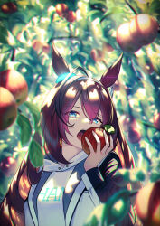 Rule 34 | 1girl, ahoge, animal ears, apple, blue eyes, brown hair, commentary request, fingernails, food, fruit, hair between eyes, hairband, holding, holding food, holding fruit, horse ears, long hair, long sleeves, looking at viewer, mihono bourbon (umamusume), open mouth, solo, umamusume, unowen, upper body, white hairband