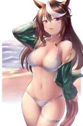 Rule 34 | 1girl, :d, absurdres, animal ears, arm up, beach, bikini, bracelet, breasts, brown hair, cleavage, collarbone, commentary request, cowboy shot, drawstring, earrings, gluteal fold, green jacket, groin, hair between eyes, highres, horse ears, horse girl, horse tail, jacket, jewelry, long hair, long sleeves, looking at viewer, midriff, multicolored hair, navel, ocean, off shoulder, open clothes, open jacket, open mouth, purple eyes, saikuu, sidelocks, single bare shoulder, single earring, smile, solo, standing, swept bangs, swimsuit, symboli rudolf (umamusume), tail, thigh strap, two-tone hair, umamusume, white bikini, white hair
